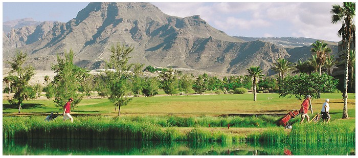 Gretener Reisen Teneriffa